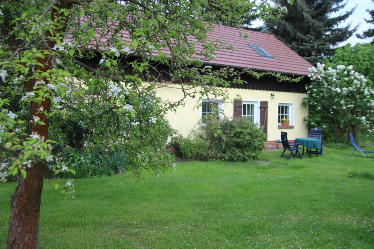 Ferienwohnung Weidengrund Burg Kauper Byhlen Exterior photo